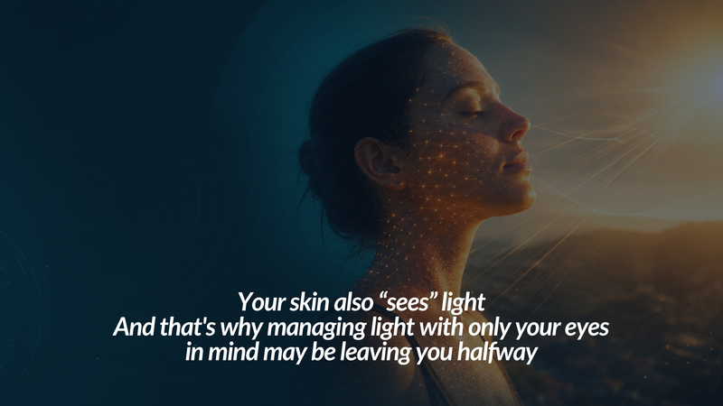 Your skin also “sees” light And that's why managing light with only your eyes in mind may be leaving you halfway
